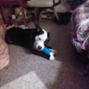 Meet your Posher, Rhoda